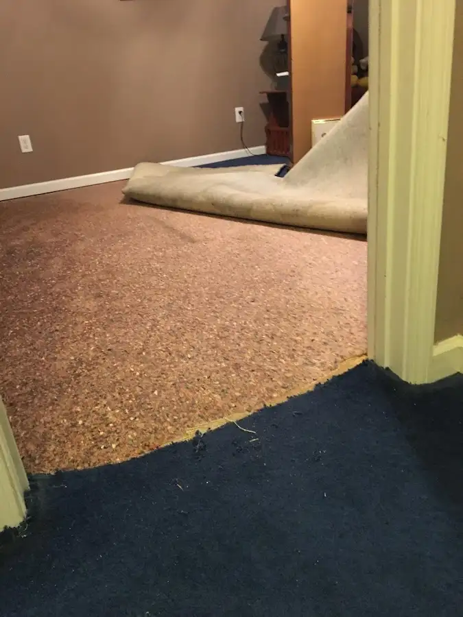 Carpet pad removal revealing water damage during Drying & Dehumidification in Lakewood